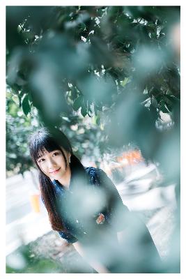 大秦赋全集在线观看免费完整版